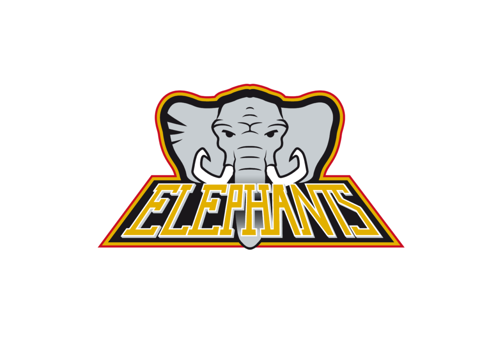 Nantes Quidditch